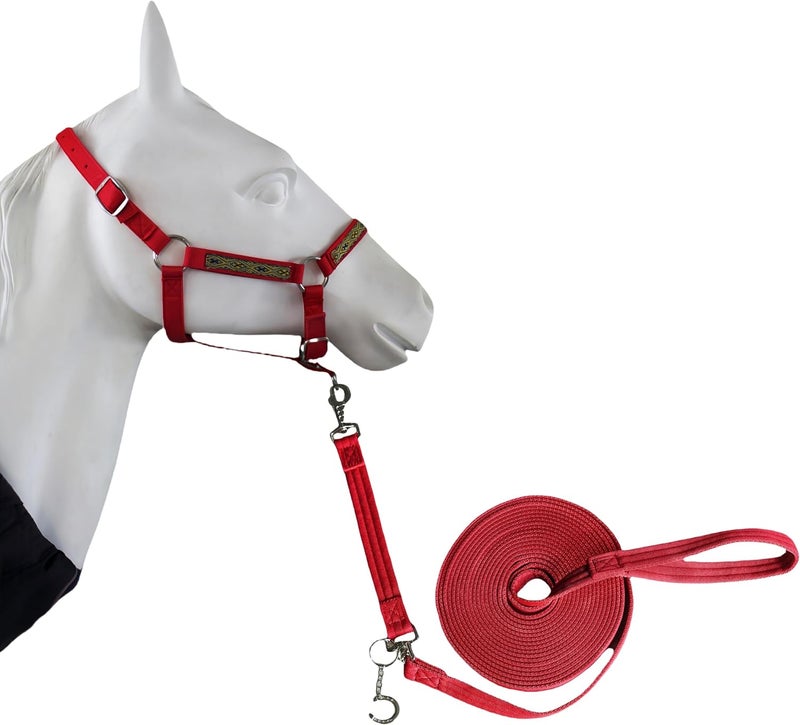 LUCKIEST MAP 2PCS Adjustable Horse Halter&Horse Training Lunge LINE Double-Buckle Anti-Entanglement Soft BUT Firm Used for Equestrian Training and Training - Image 1